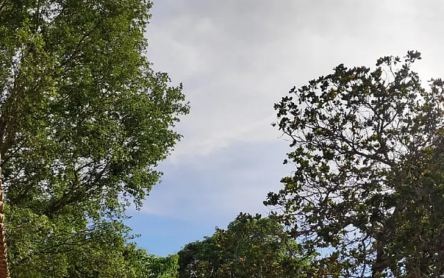 Dia de Finados será quente e nublado, mas sem risco de chuva