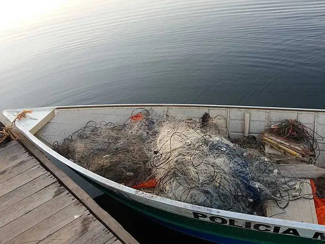 Polícia Militar Ambiental solta 15kg de peixes e uma tartaruga, presos nos apetrechos