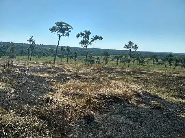 Fazendeiro é multado em R$ 70 mil por incêndio para renovação pastagem