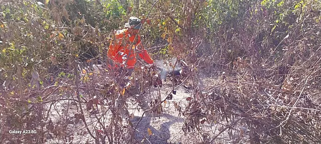 Brigada combate incêndio e evita que fogo chegue a escola rural