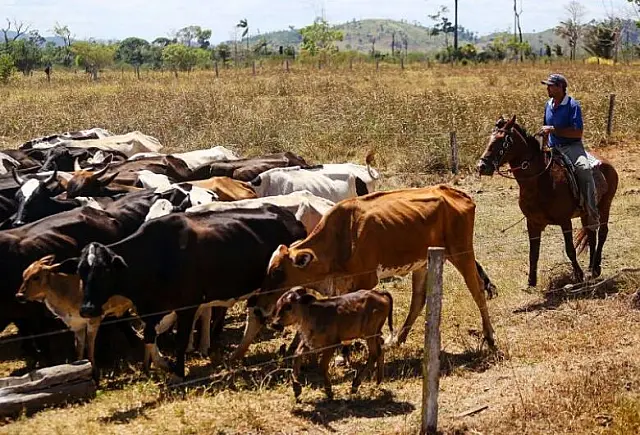 Projeto destina R$ 524 milhões ao Proagro, mas risco de falta de recursos continua
