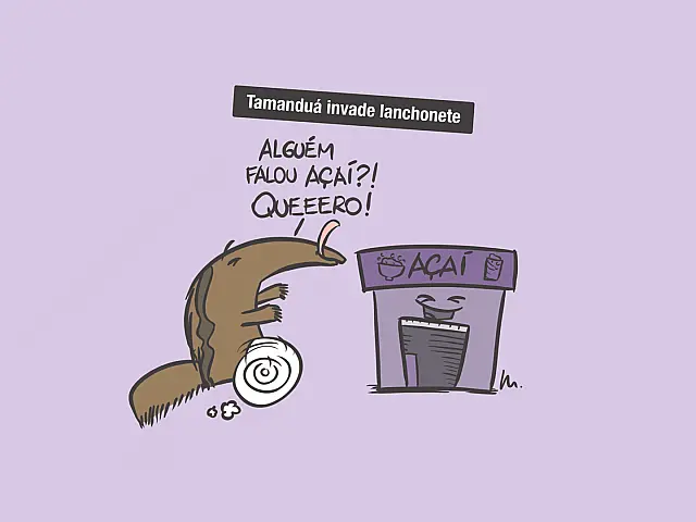 Alguém falou açaí?!