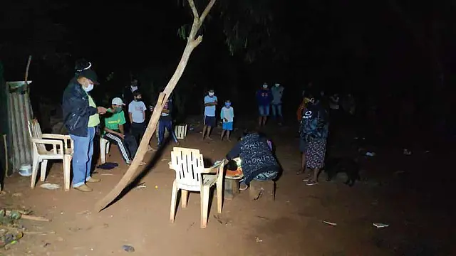 Menino de 11 anos morreu após subir em árvore para resgatar papagaio