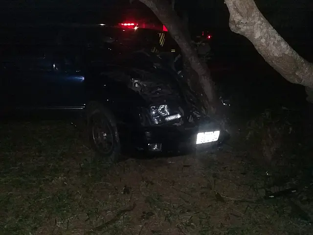 Idoso perde controle da direção e bate caminhonete em árvore na BR-262