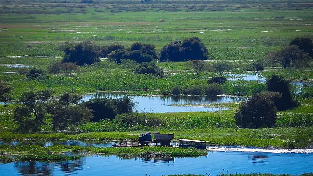 Menino de 8 anos é estuprado em fazenda do Pantanal de MS
