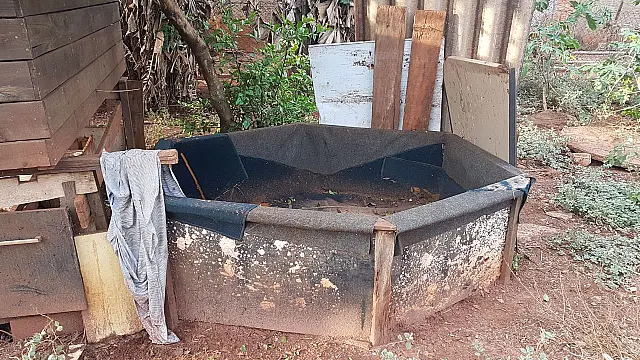Galos feridos e confinados em rinha são resgatados durante operação policial