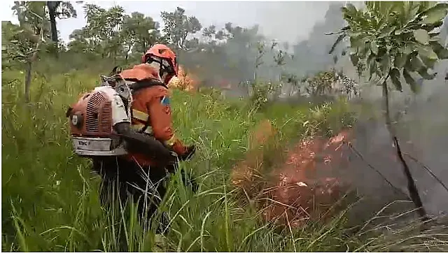 Incêndio atinge área de divisa entre fazendas do Carandazal em Corumbá