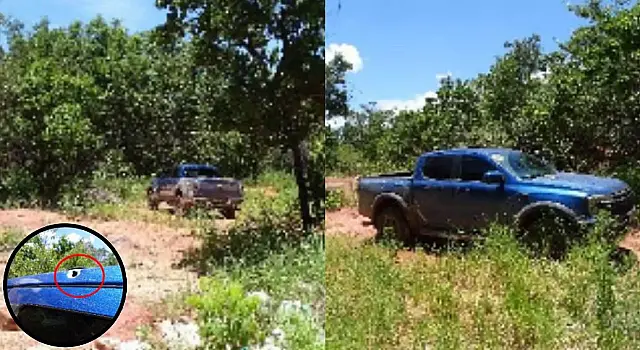Homem é denunciado por matar o genro em fazenda de MS