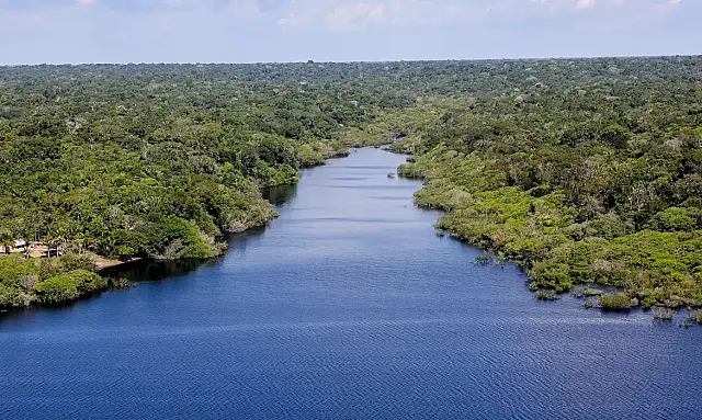 Fundo Amazônia financia reflorestamento em terras indígenas
