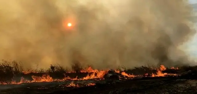 Incêndios no Abobral e Porto Murtinho são controlados