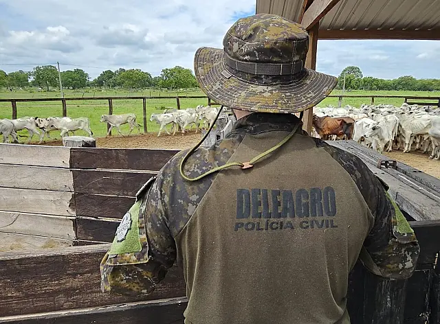 Polícia Civil recupera gado furtado avaliado em R$ 400 mil