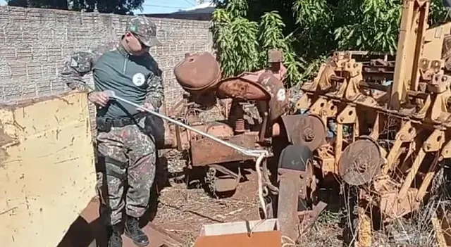 PMA captura cobra cipó em ferro velho