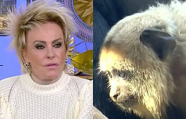 Globo demite funcionário que deixou imagem de macaco durante reportagem sobre racismo