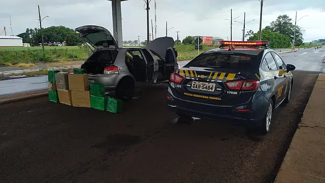 Ministra acompanha apreensão de 267 kg de maconha