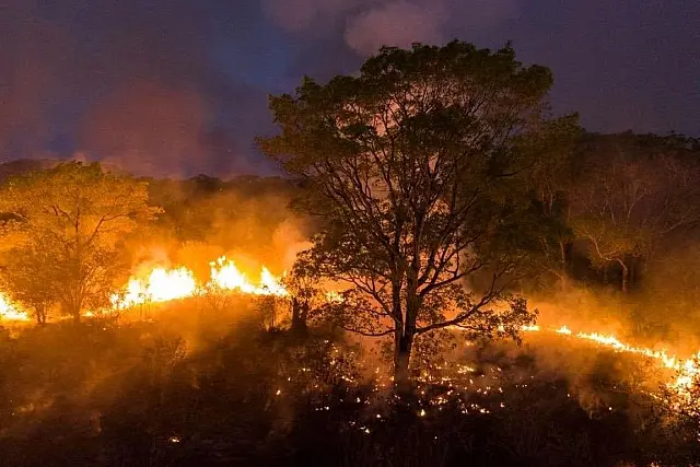 ALEMS sugere compra de aeronaves no valor de R$ 100 milhões para combater queimadas
