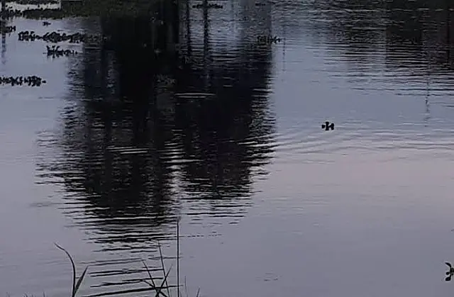 Idoso é encontrado morto em córrego momentos após ser visto bebendo