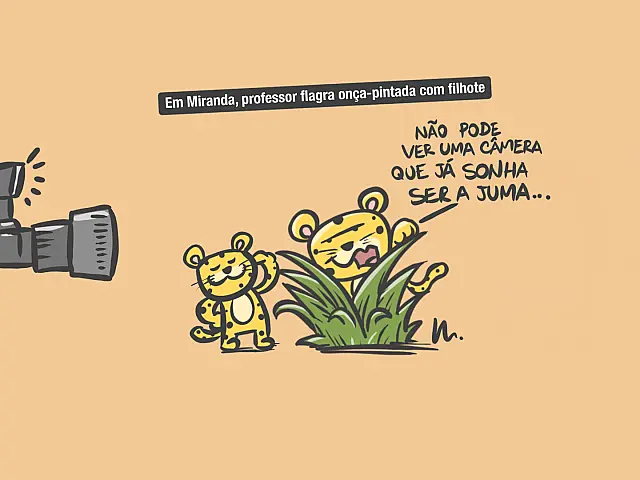 Luz, câmera, ação!