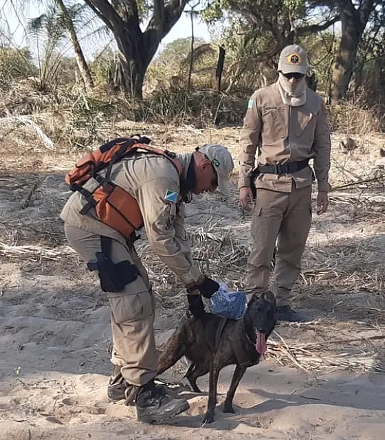 Após 4 dias, homem é encontrado na Nhecolândia