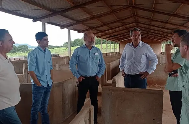 Jaraguari investe na suinocultura com apoio do Governo do Estado e cooperativas
