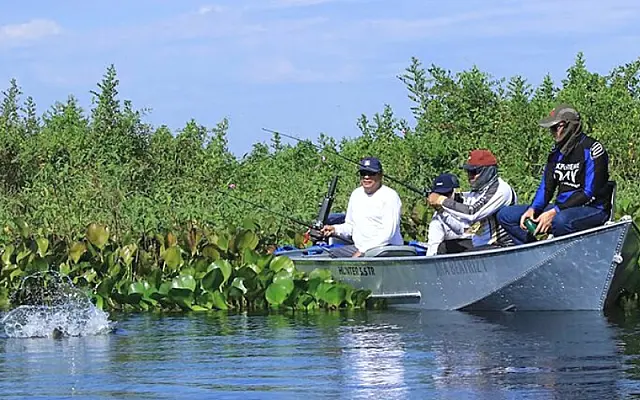 Atenção: esta é última semana para pesca nos rios de MS