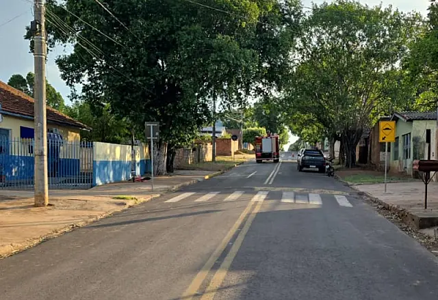 Família fica presa em casa durante ataque de abelhas em Anastácio