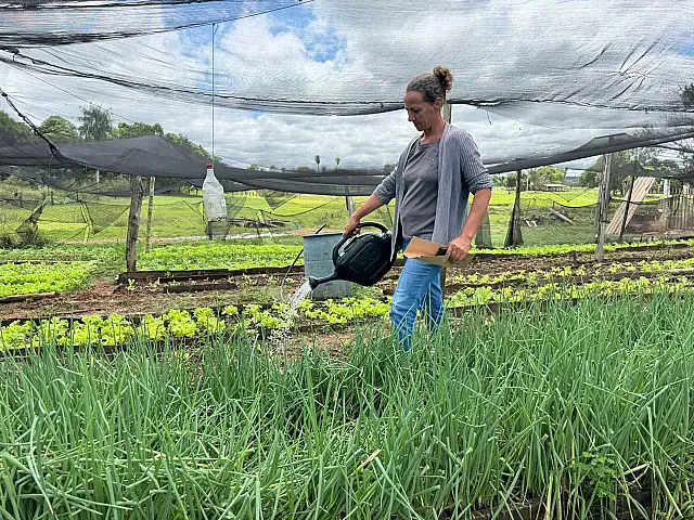 Agricultura familiar de Nioaque recebe apoio com fertilizante orgânico