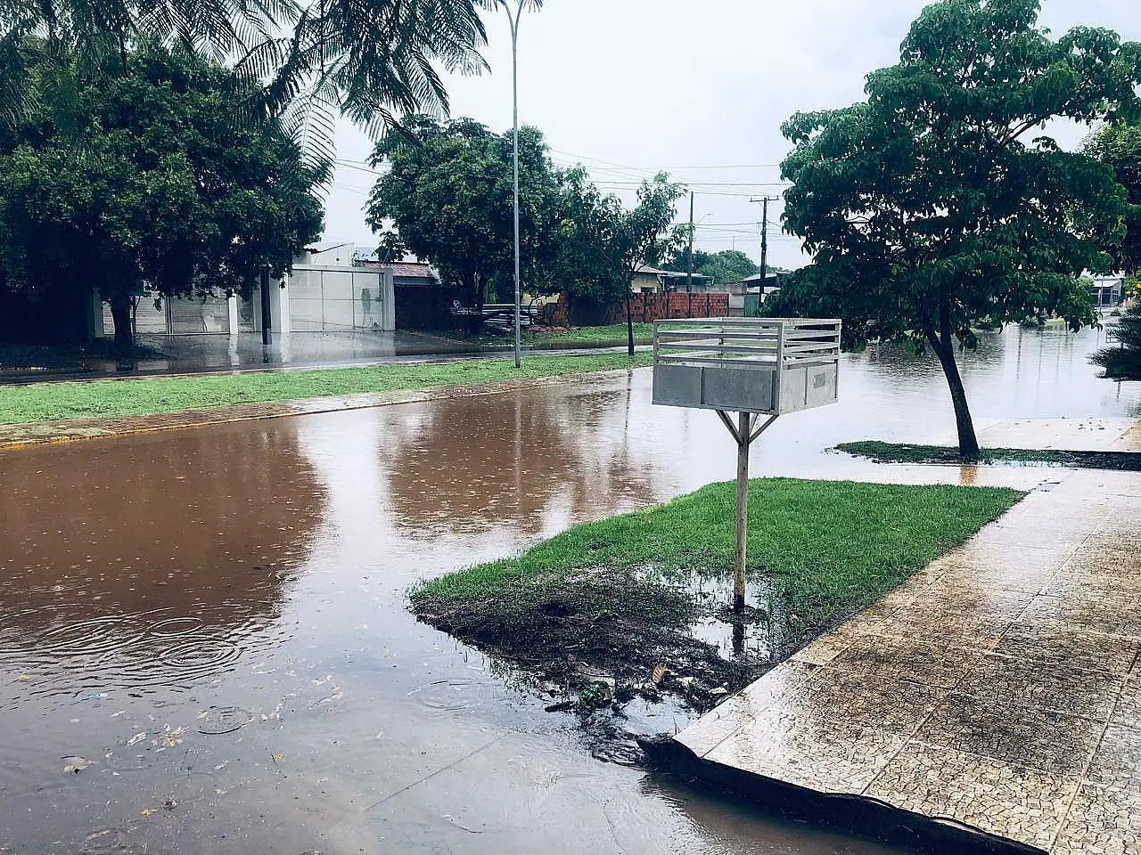 Temporal provoca alagamentos e derruba árvores em Aquidauana