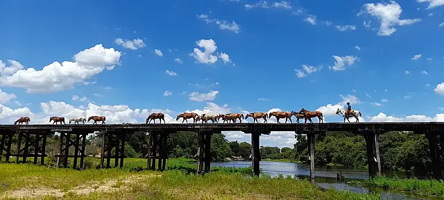 Com cenas gravadas em Aquidauana, novela "Pantanal" pode retornar à TV