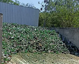 Projeto amplia reciclagem de vidro e reforça ações ambientais em Bonito