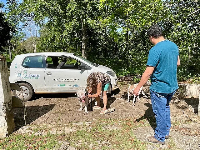 Pit bulls que circulavam soltos pelas ruas são recolhidos em Aquidauana
