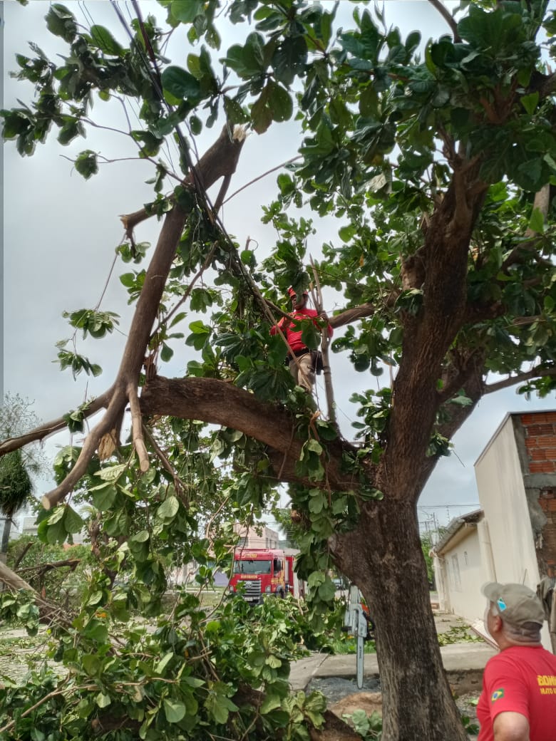 whatsapp-image-2021-10-18-at-103429-1
