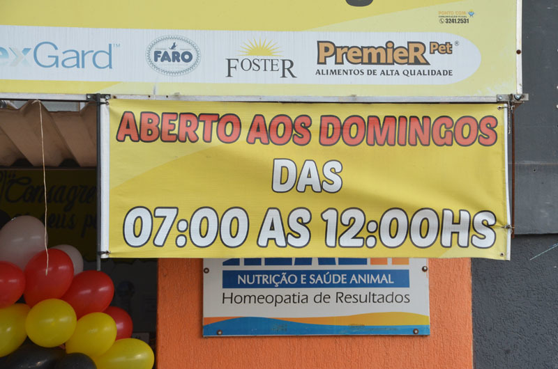 chiquinho-4