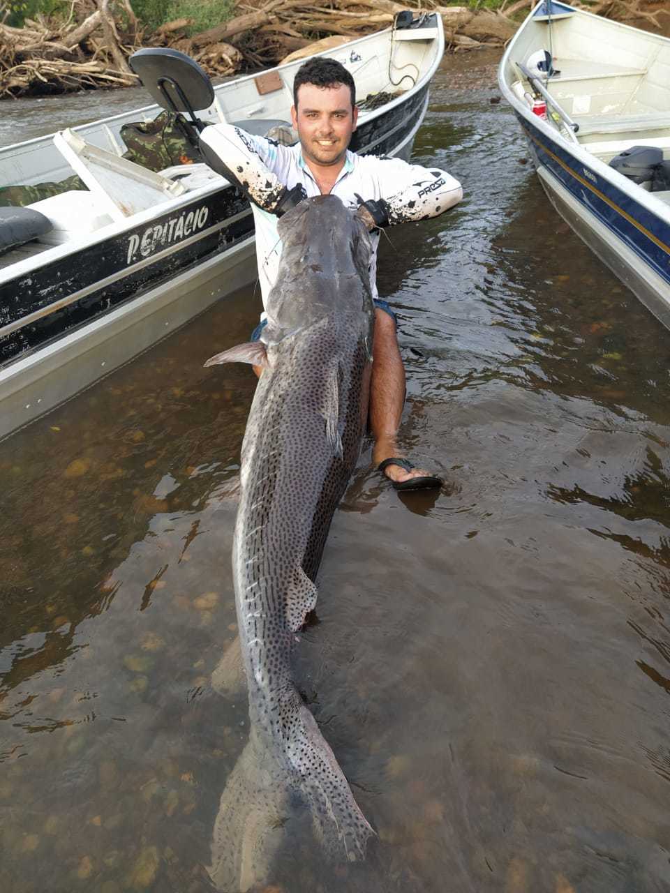 peixe3