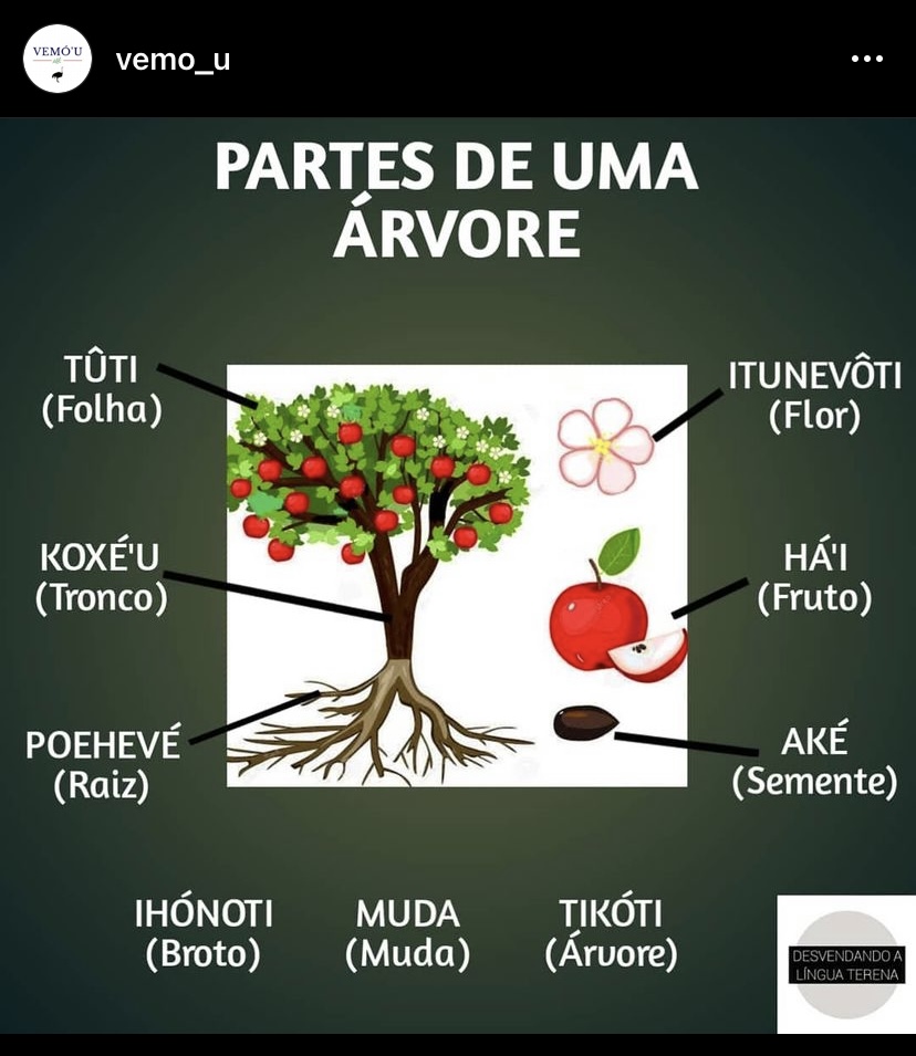 55e5f741-a827-4dc3-bb65-92193a0a6acd