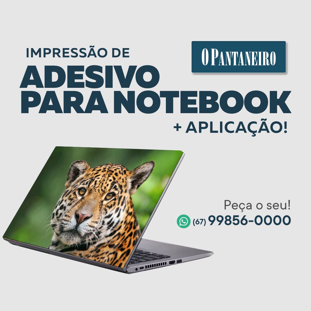 pagina-2