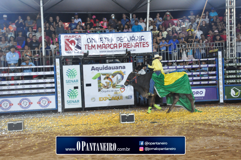 quarto-dia-97