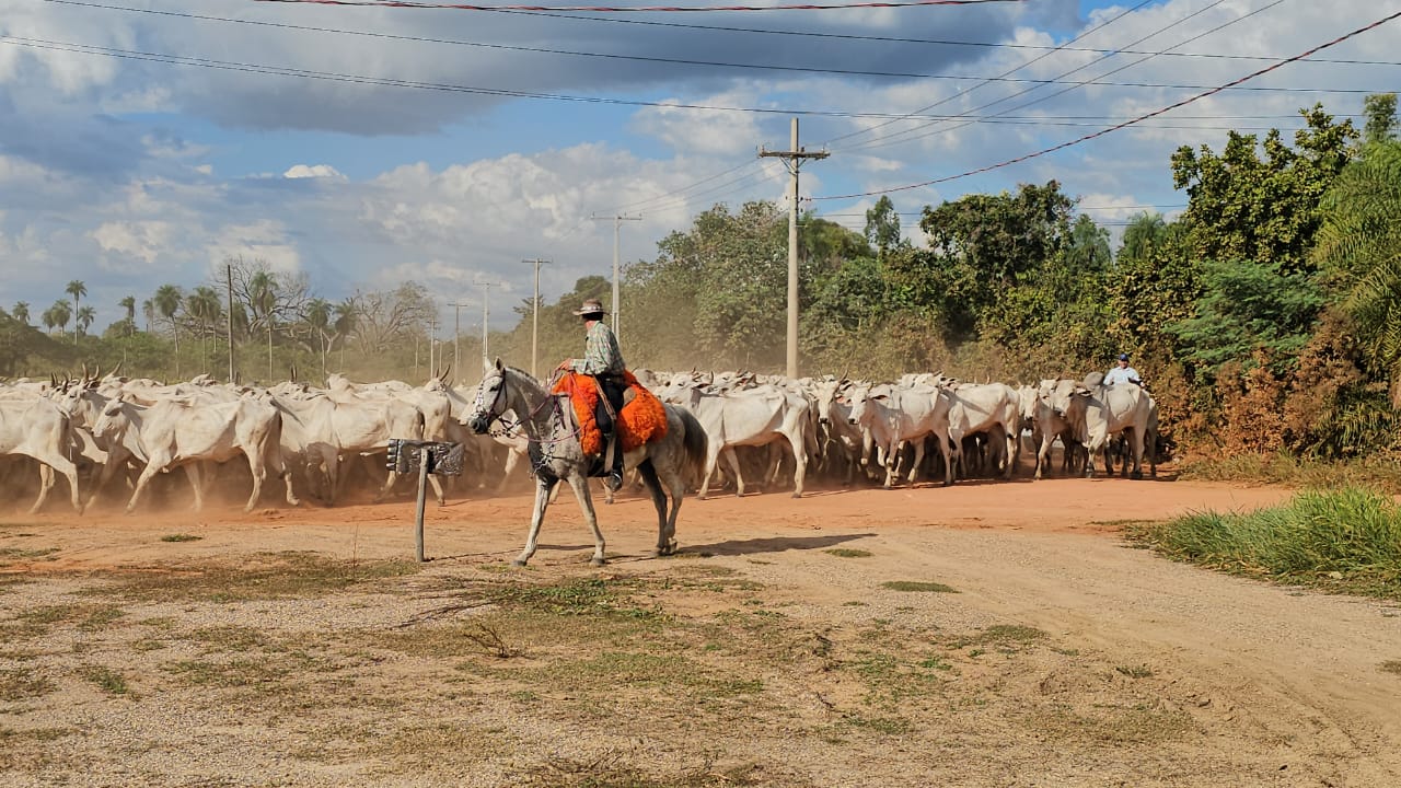 comitiva-gado-travessia-aquidauana-anastacio-8_1