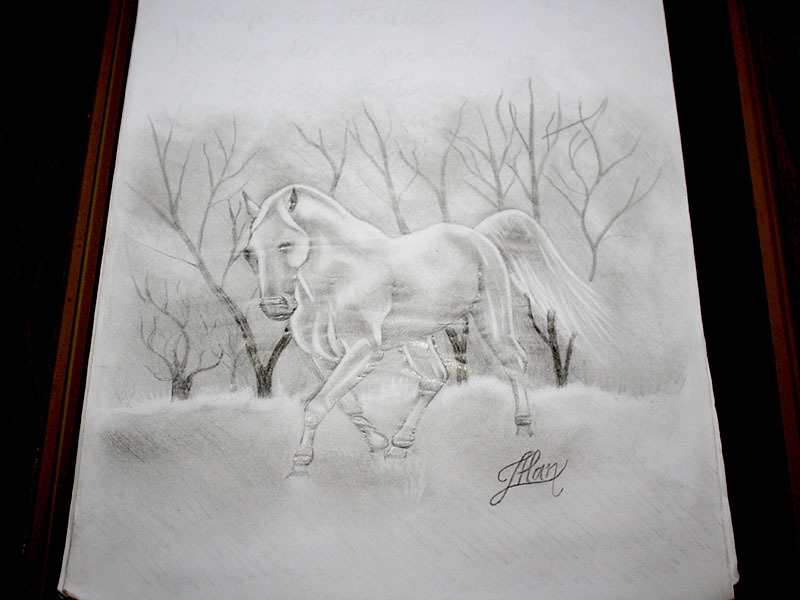 img-1897