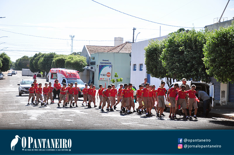 dsc-0290
