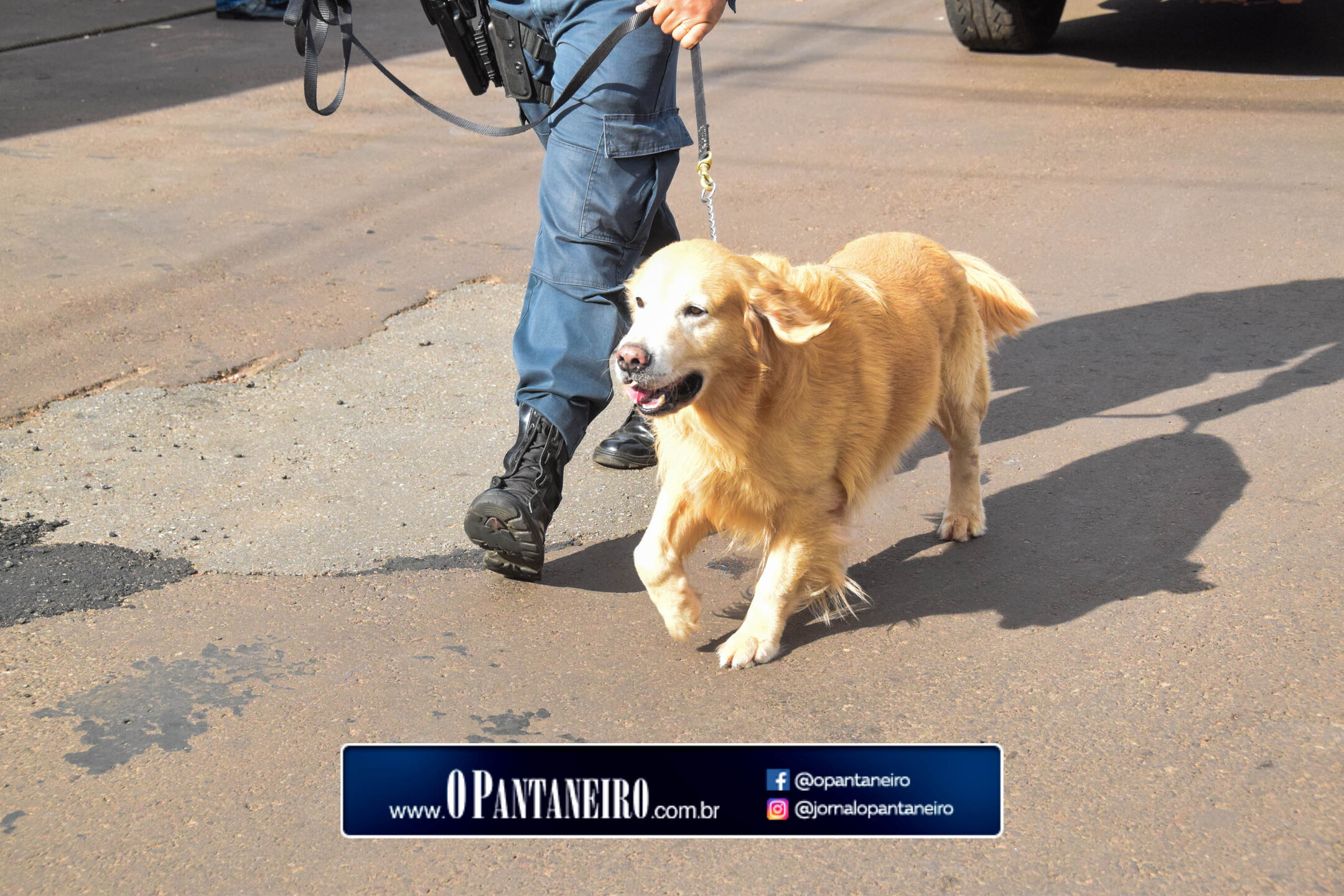 defilesivicomilitaranastacio-tratadas-66