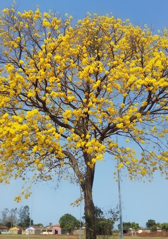 Foto por Maria Antonia.