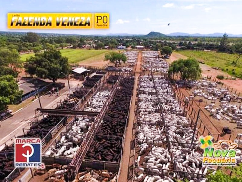 foto-02