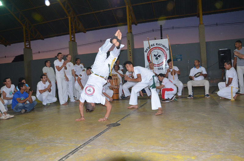 dsc-0290