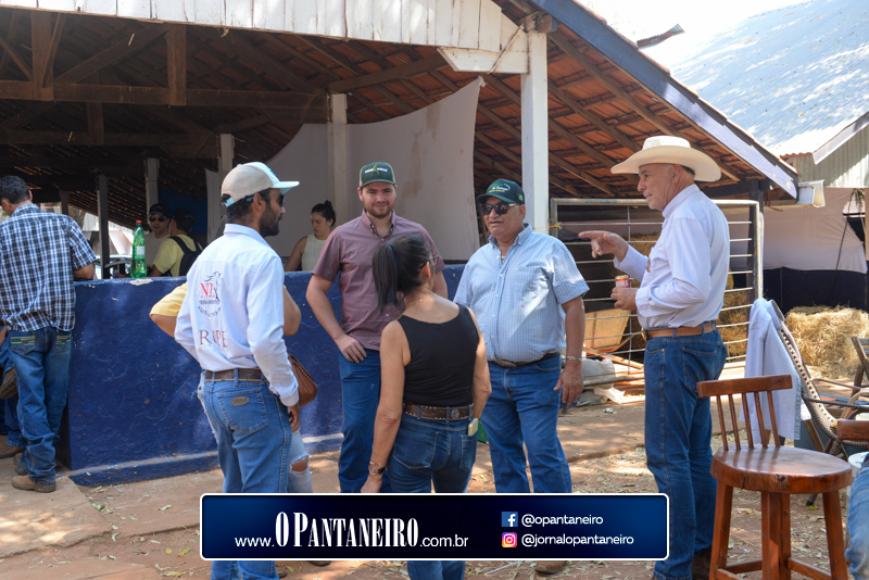 quinto-dia-9