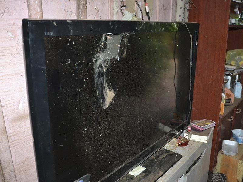 Chimbinha danificou a TV da idosa, comprada com ajuda de amigos