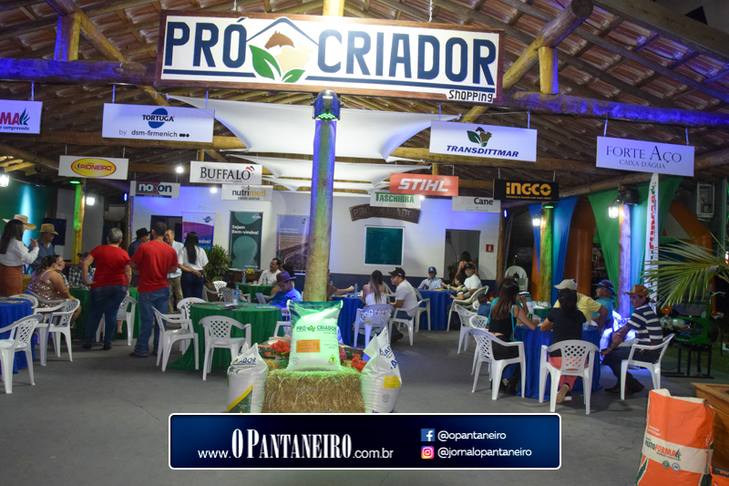 quarto-dia-20