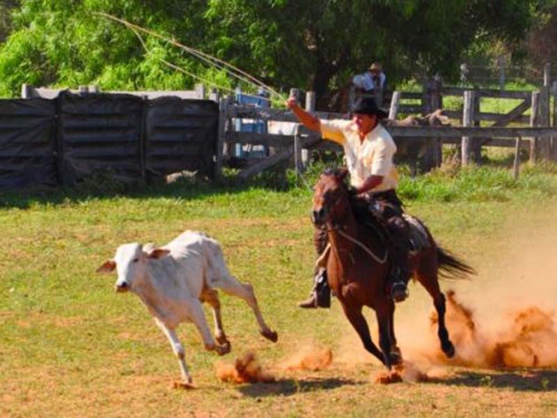 Competições tipicamente pantaneiras fizeram jus ao nome do Festival.