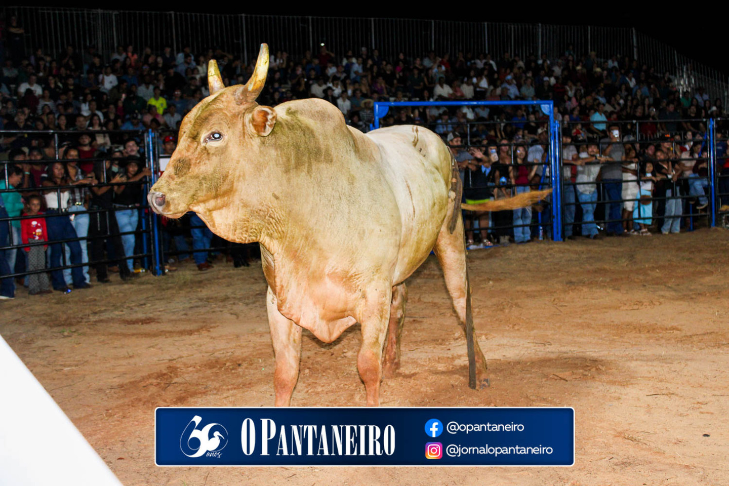toninho-tornado-241