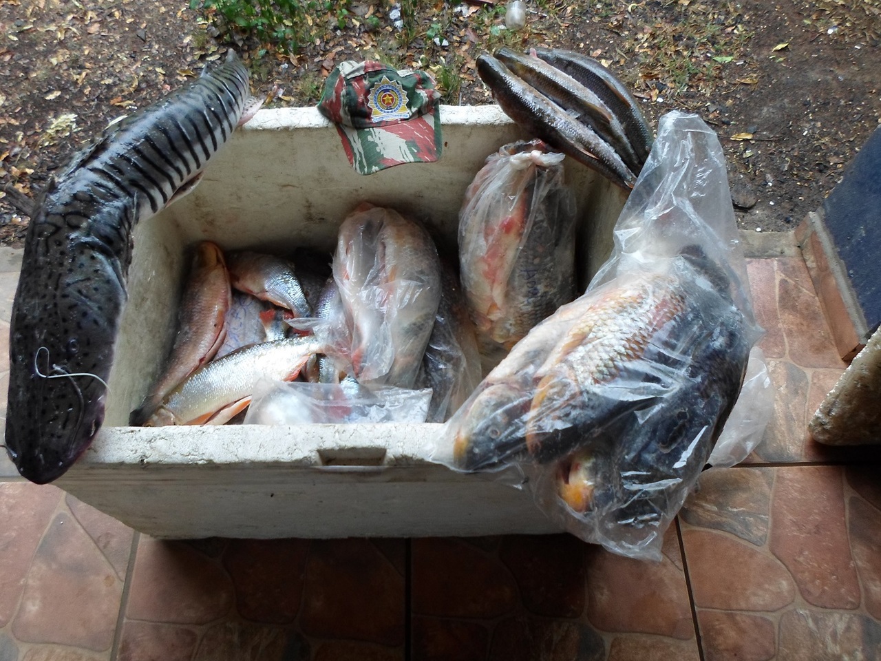 pescado-aquidauana-trusitas-29-de-setembro-de-2017