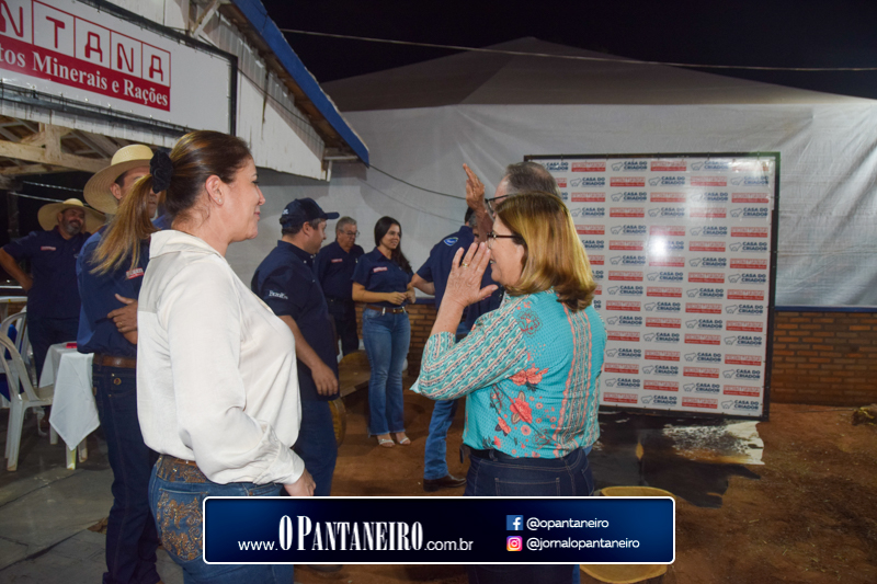 quarto-dia-6